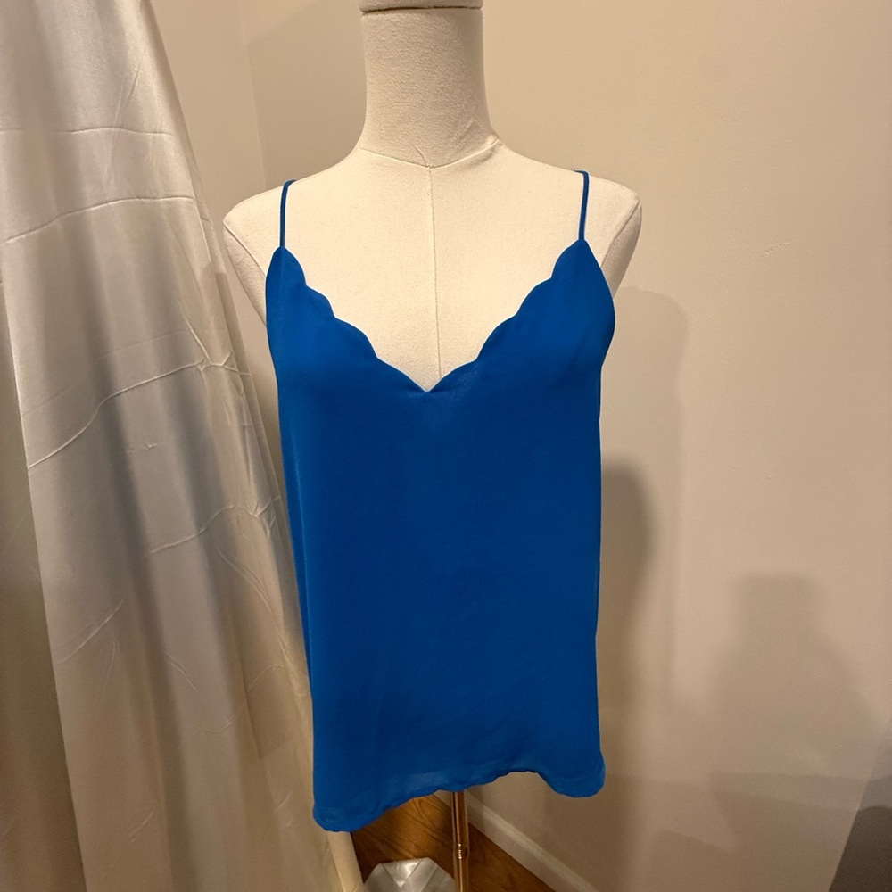 Naked Zebra Vibrant Blue Scallop Camisole
